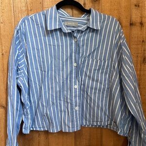 Everlane Striped Blue and White Shirt